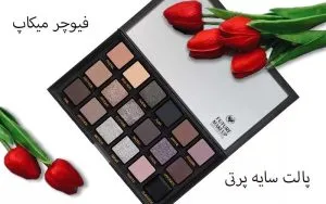 پالت سایه پرتی فیوچر میکاپ (FU3901 ) 3 Edit 5