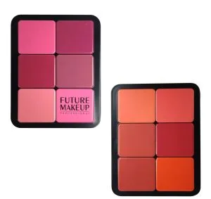 پالت 12 رنگ رژ future makeup