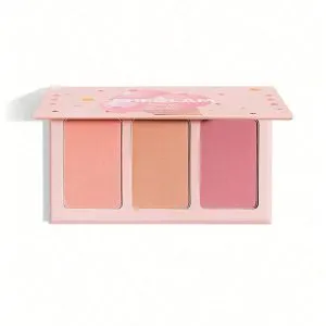 پالت رژ گونه سوییت چیک شیگلم 18 گرم
