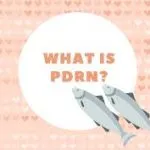 PDRN چیست